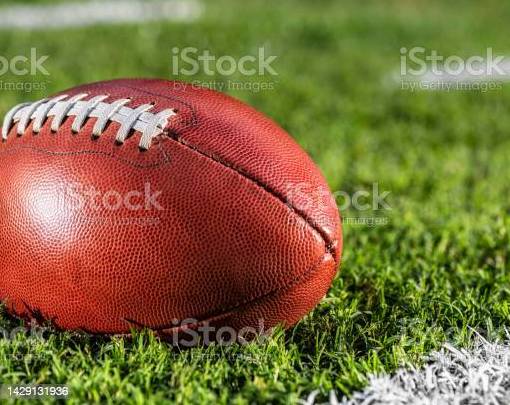 Gull Lake football team to co-op with Parchment in 2026